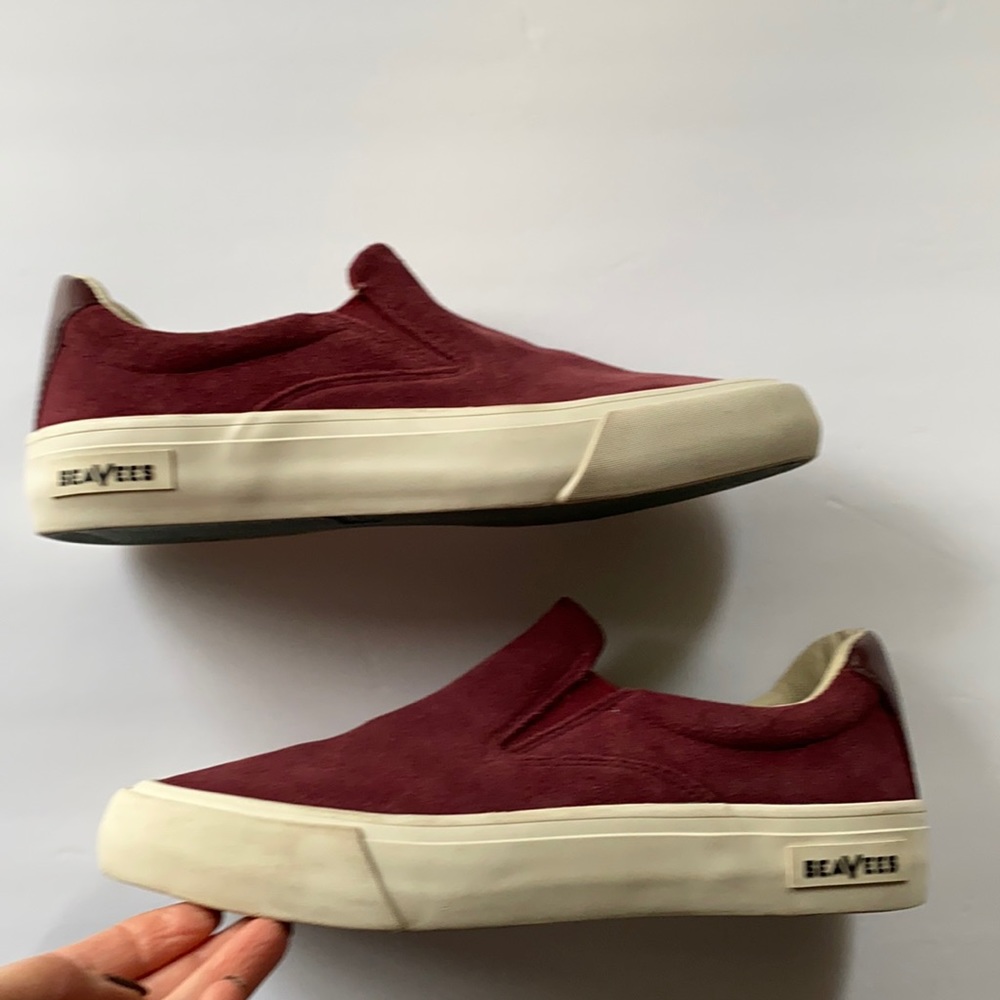 Seavees | Hawthorne slip on wintertide Suede